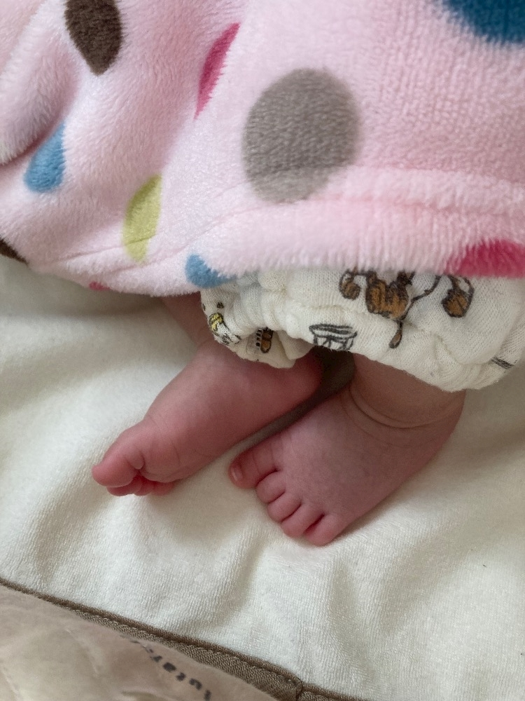 宍戸 いぶき