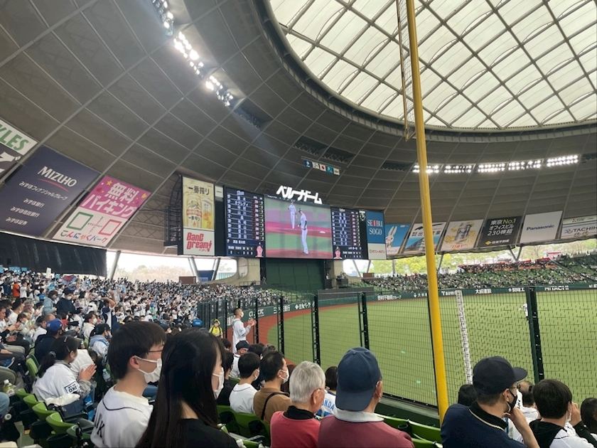 きょうか