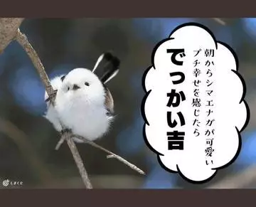 ひな
