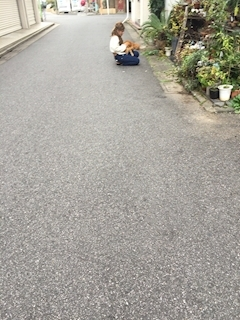 けい