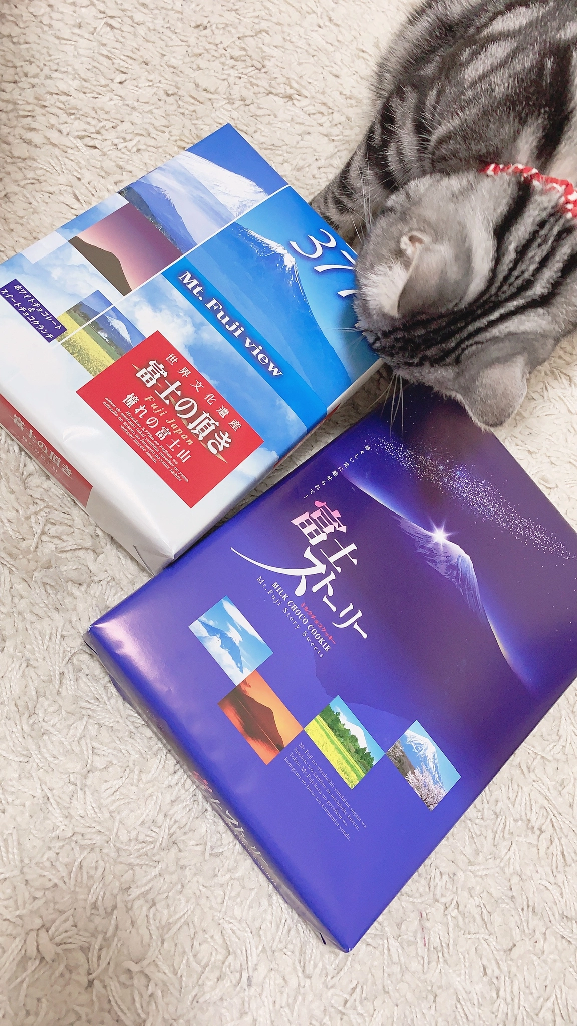 夢乃 サラ