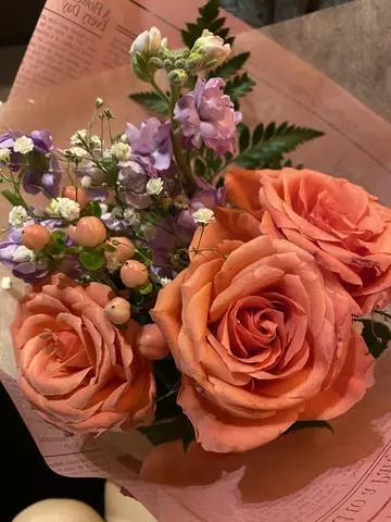 白石 愛莉
