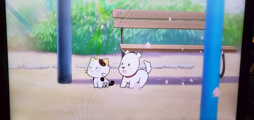 りか