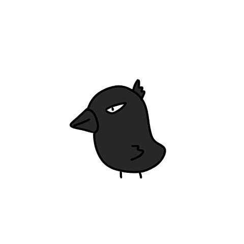 せいら