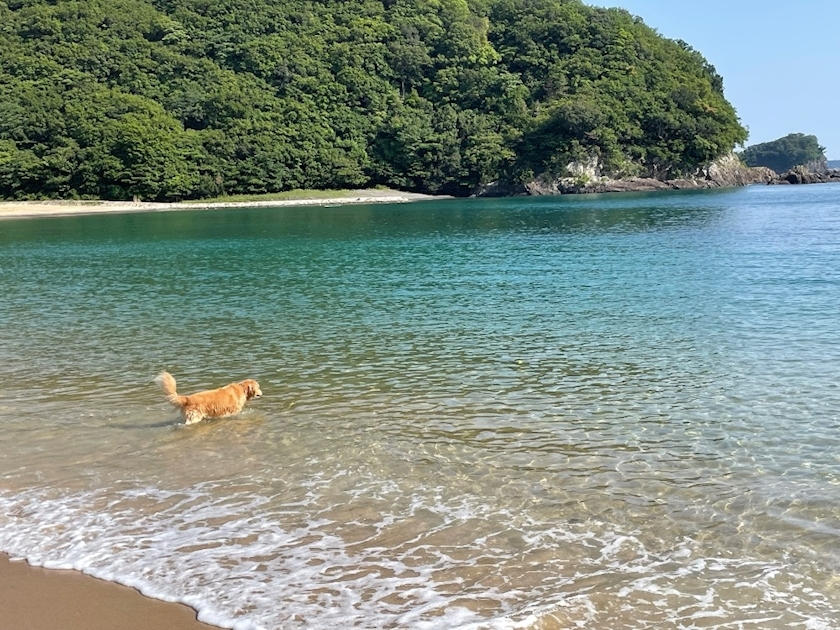 朝倉 しおり