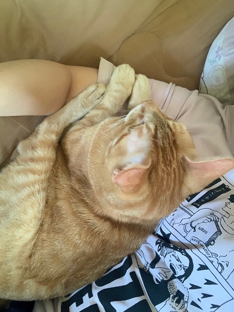 なのか