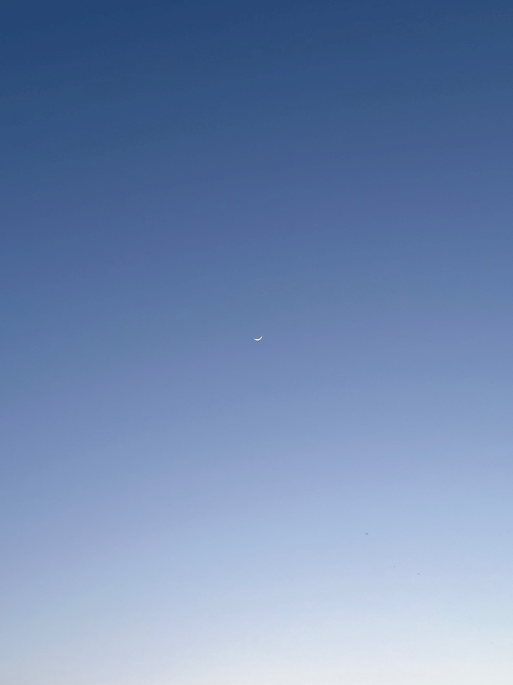 モエ