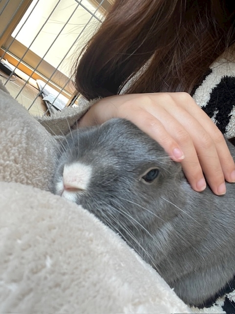 愛川 らん
