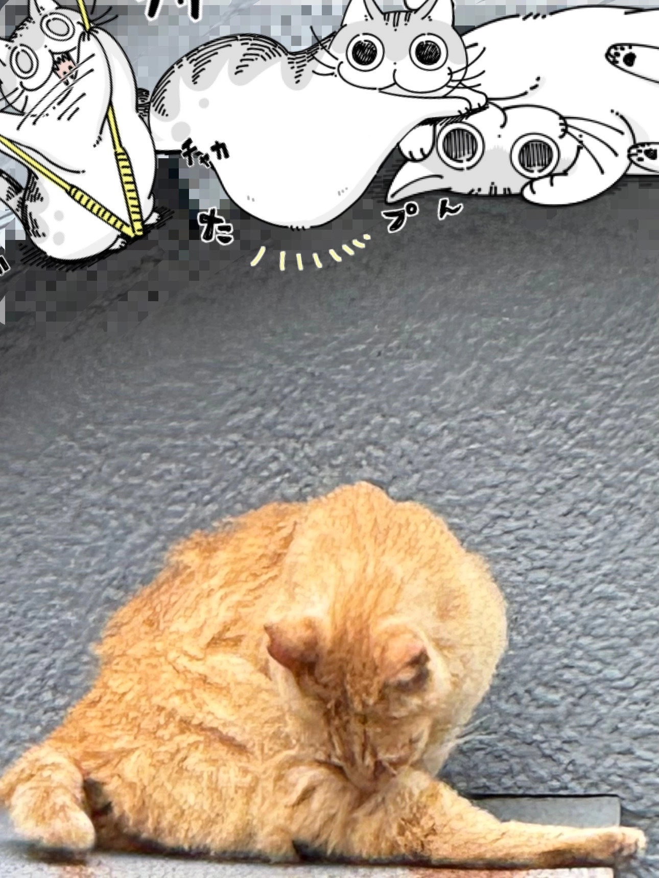 まり