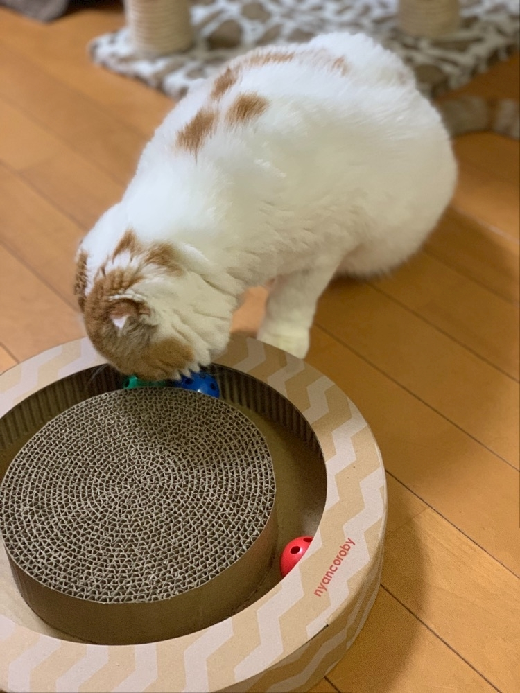れみ