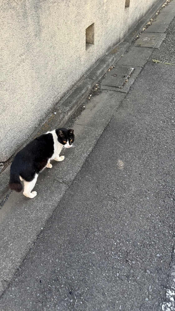 そら