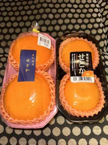 白石 愛莉