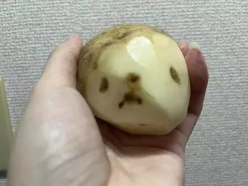 七星 夏純