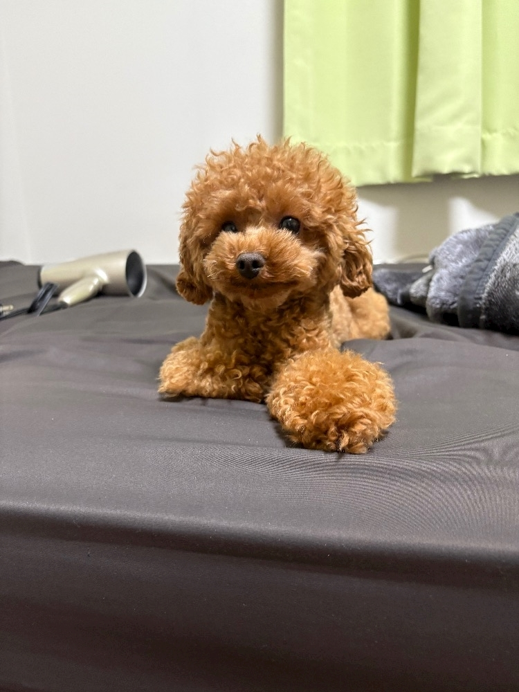 ミヅキ
