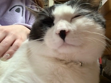 ゆず