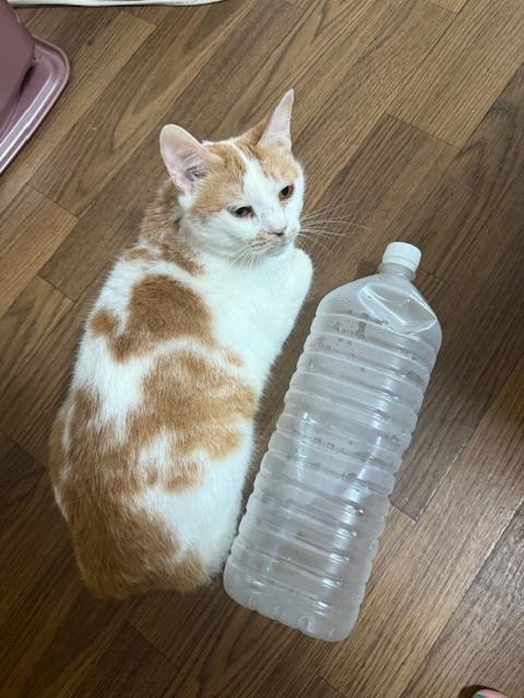 寒河江 春紀