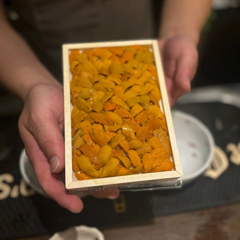 陽向 もみじ