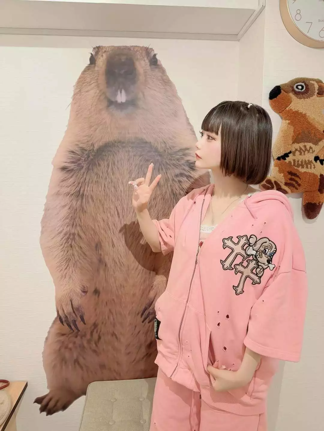 ひな