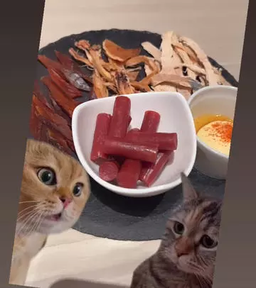 七星 夏純