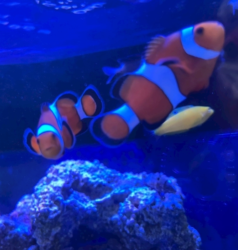 ナミ