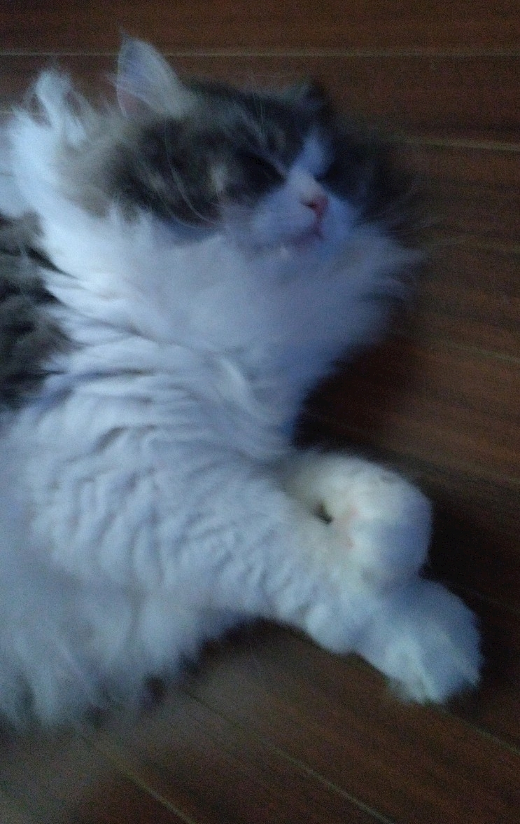 レナ