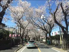 愛羽 仁美