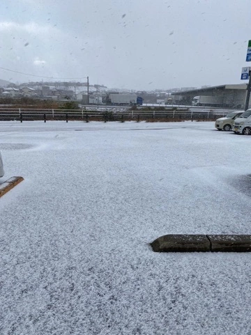まみ