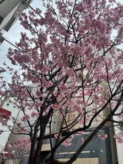 えり