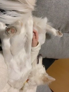 京 さゆみ