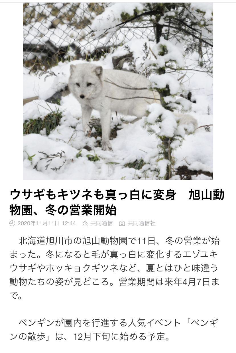 七星 夏純