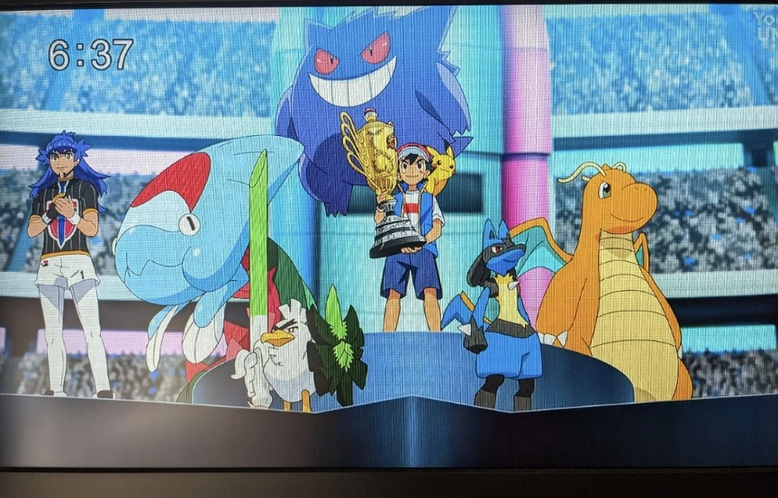五条 椿