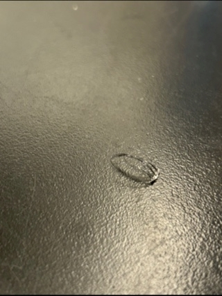 空条 しいな