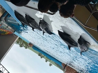 あい