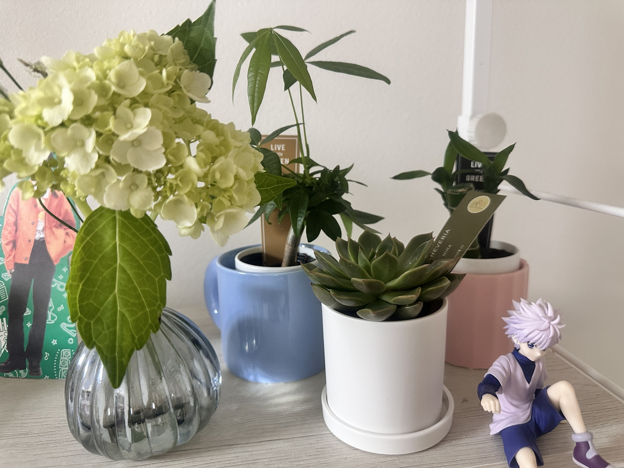 かえで