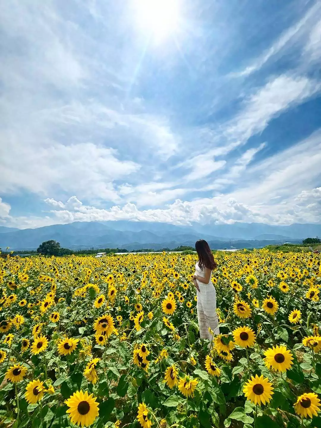 美空