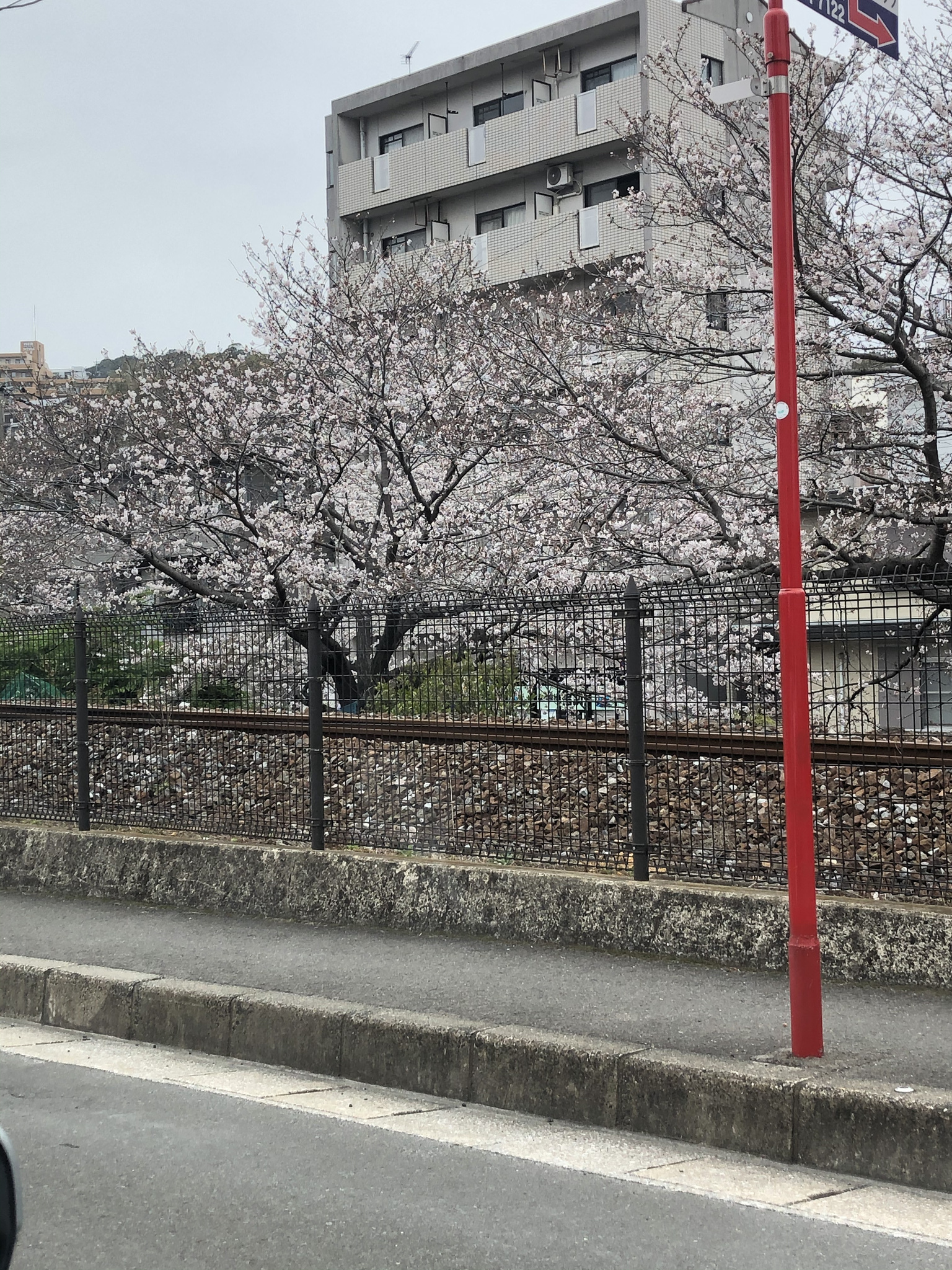 藤本 祐子ママ