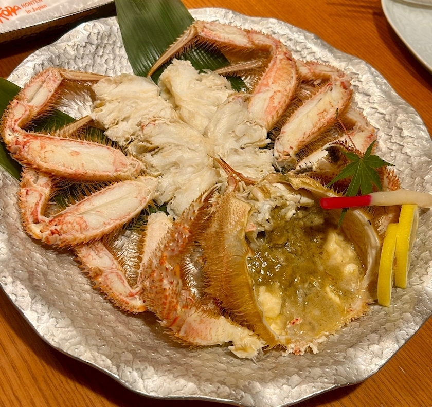 朝比奈 みく