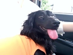 りえ