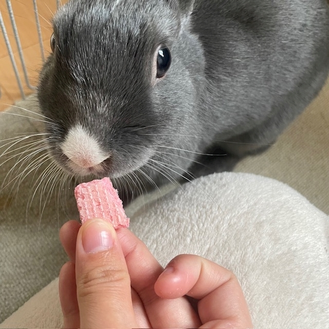 愛川 らん