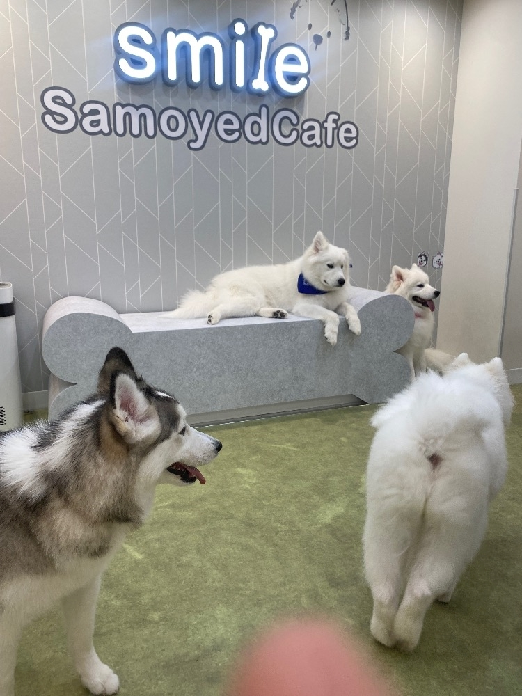 ほのか