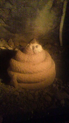 彩