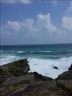 桃瀬 百華