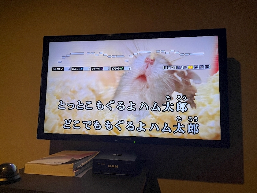 春野 じゅり