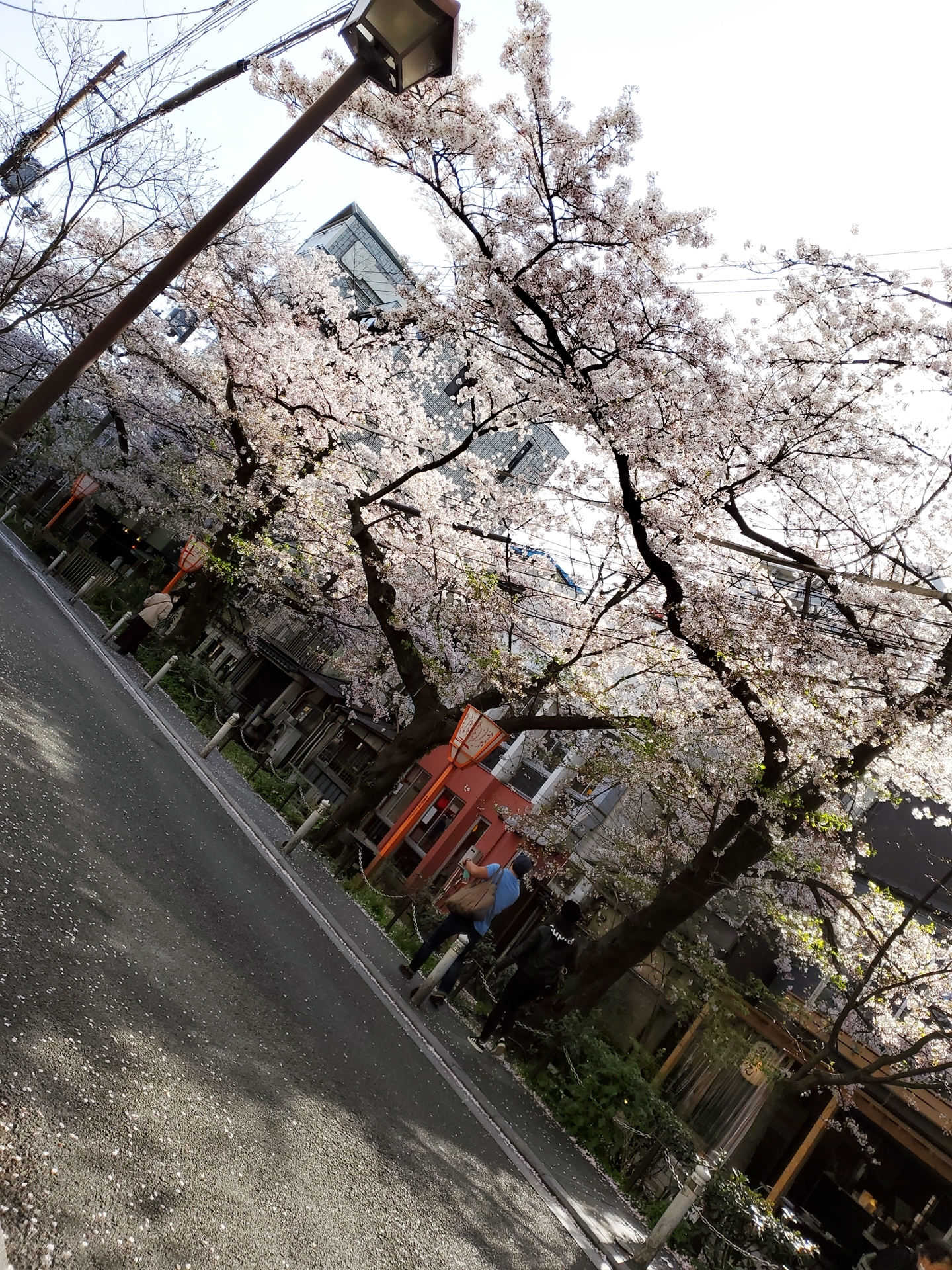 荒木 ナツミ
