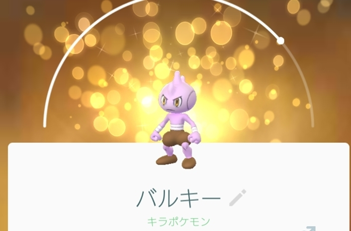 五条 椿