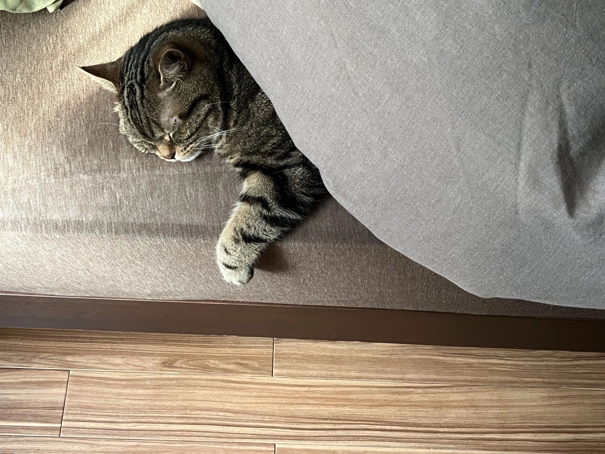 ここな