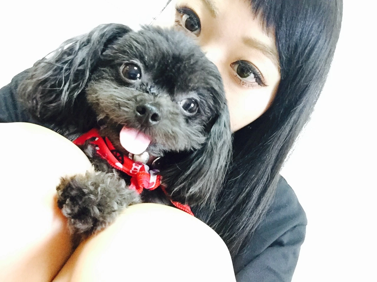 林檎