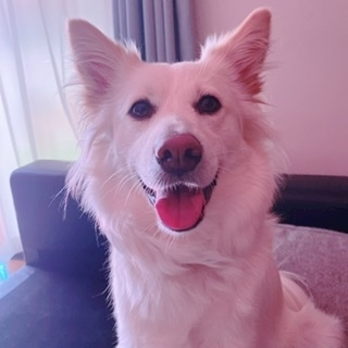京 さゆみ