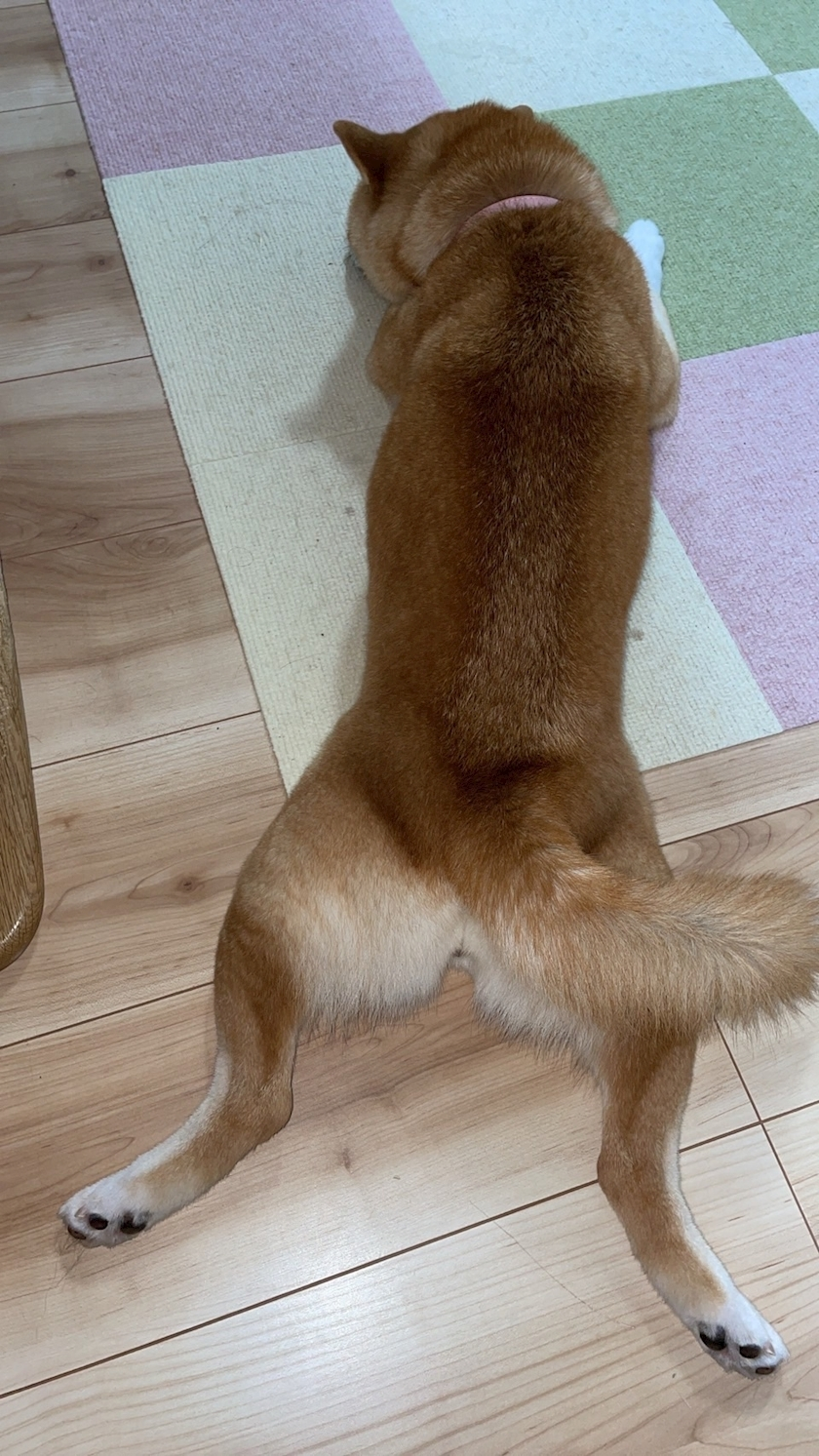 ツンデレかなの