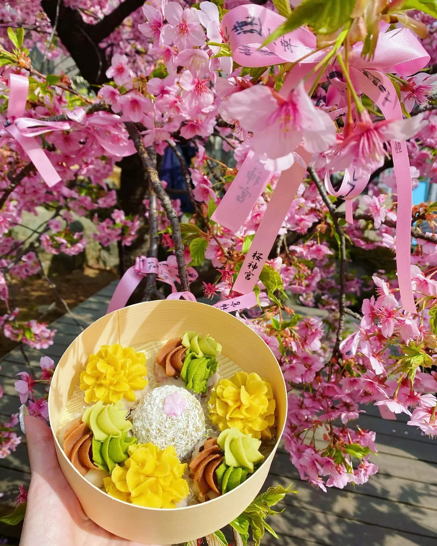 桜 ゆみ